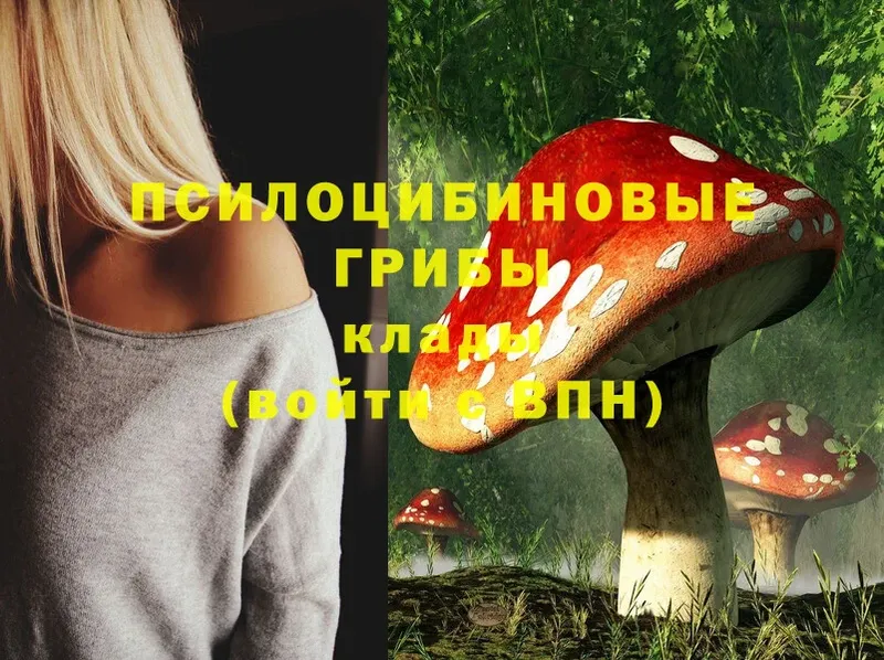 хочу   Асбест  Галлюциногенные грибы Magic Shrooms 